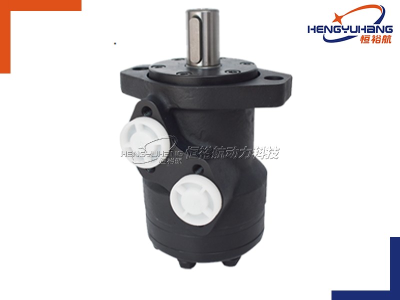 HENGYUHANG shaft distribution hydraulic motor BMRW(50~400cm³/rev)