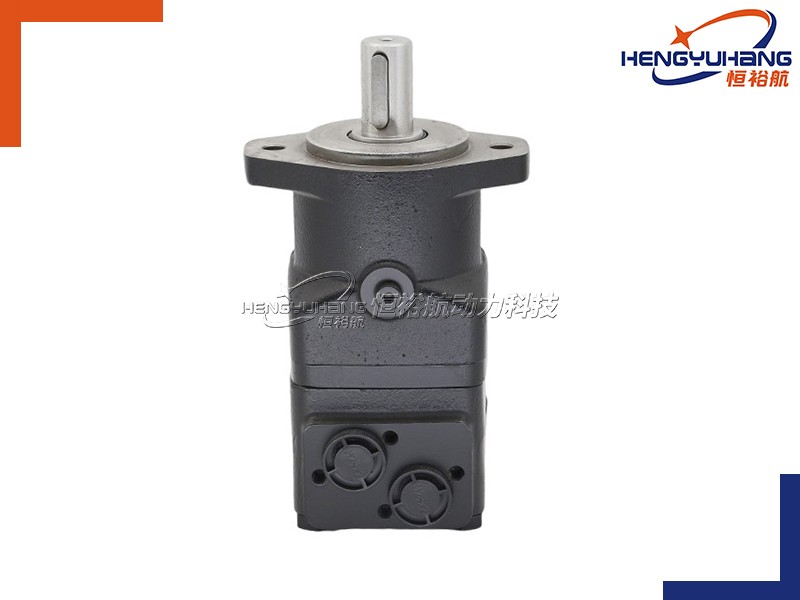 HENGYUHANG Disc distribution Hydraulic motor BMT 2-holes(200~800cm³/rev)