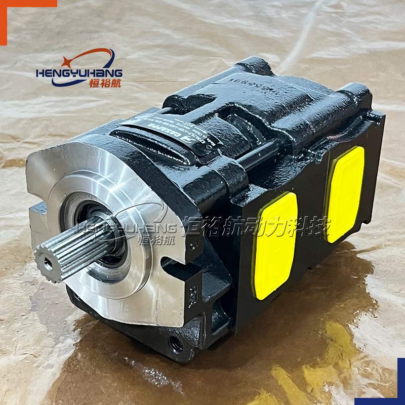 CASAPPA double Gear Pump KP30.19,5