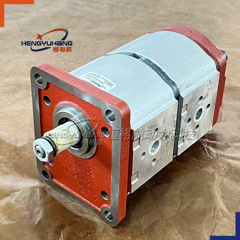 SALAMI Hydraulic Pump 3PE21/21D-P38P2