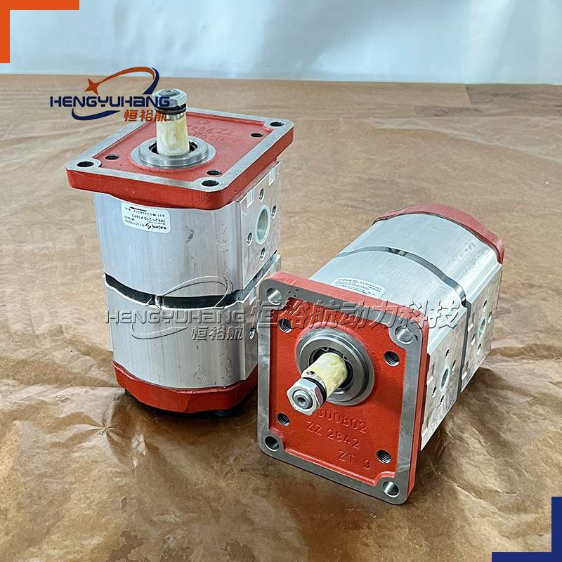 SALAMI Hydraulic Pump 3PE21/21D-P38P2