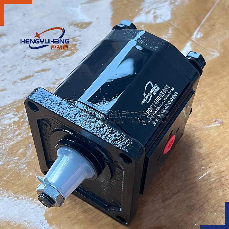 BONDIOLI Hydraulic Pumps HPLP211SMNG6G4 HPLPA206DMLE3E3 HPLPA119DDDE3D3 HPLPA131DDDG3G3 HPLMA226 Gear Motor HPLPA Gear Pump