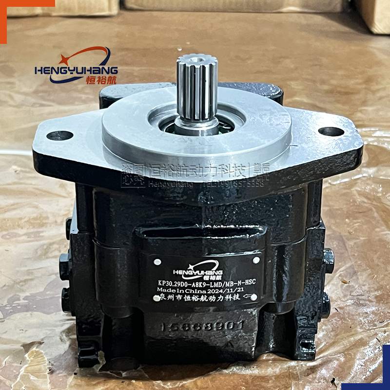 CASAPPA Cast Iron Hydraulic Pumps KP30.51B-A8K9-POF/ F-N-D-CSC High-pressure Oil Pump KP20 KP30 KP35 KP40 Hydraulic Gear Pump