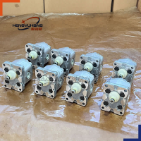 MARZOCCHI Gear Pump 1PD1.6 1PD4.2 Hydraulic Pumps 1PD11.5 Micro Oil Pump 1PD3.3GAS 1PD6.7 1PD9.2GAS K1PD4.2G Hydraulic Gear Pump