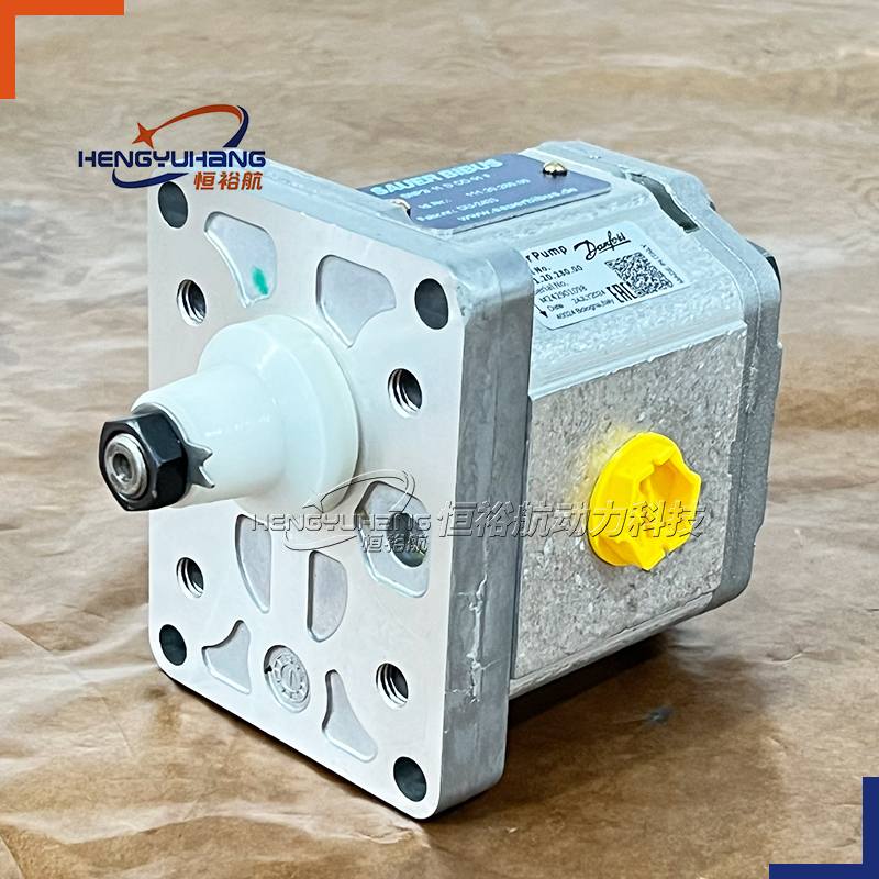 FOR DANFOSS Hydraulic Oil Pumps 111.20.222.00 SNP2NN/017RN01BAP1C7C3NNN 111.20.286.00 SNP2NN/019RN01BAP1F5F4 Hydraulic Gear Pump