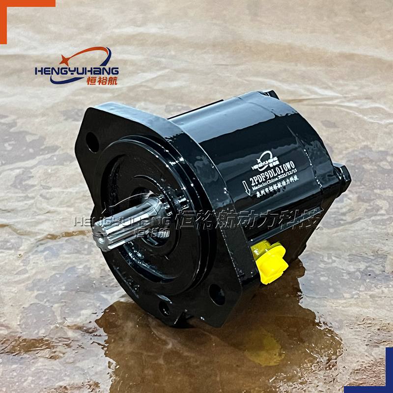 Customized vivolo hydraulic gear pumps X2P4552IBBA