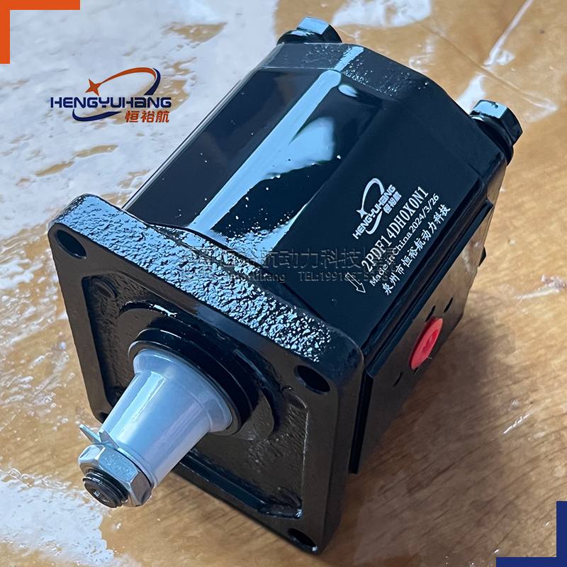 CASAPPA Hydraulic Pump PLP20.20S0-07E2-LBM/EB-N-E High-pressure Oil Pump PLP20,PLP10,PLP30,PLM20,PLM30,PLM10 Hydraulic Gear Pump