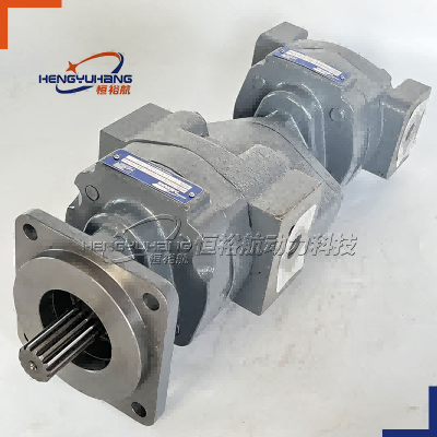 MEIARIS Cast Iron Oil Pump MHP350 MHP365 MHP15 MHP20 MHP30 MHP31 MHP25 MHP51 MHP37 MHP75 MHP76 MHP315 MHP330 Hydraulic Gear Pump