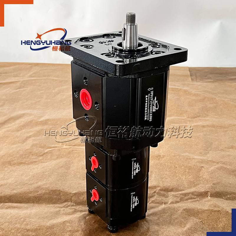 HENGYUHANG Custom Hydraulic Gear Pump 3PD2F Can Replace the DUPLOMATIC Oil Pump GP3F-0394R97F20N GP2 GP1 1P Gear Pump