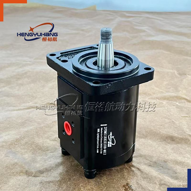 2PDM High-quality HENGYUHANG Custom-produced Rexroth Hydraulic Gear Pump 0511545601 AZMF-10-11USA20ML High-pressure Gear Motor