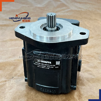 CASAPPA Cast Iron Hydraulic Pumps KP30.51B-A8K9-POF/ F-N-D-CSC High-pressure Oil Pump KP20 KP30 KP35 KP40 Hydraulic Gear Pump
