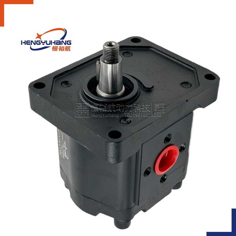 Custom Substitution VIVOLO Hydraulic Oil Pumps XV1P XV2P XV3P X1P2902FIIA X1P2002FZBB X2P4102EBBA X3P8102AEE Series Gear Pump