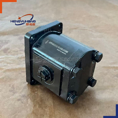 Rexroth Hydraulic Gear Pumps 1PF2G223/016RA01MS 1PF2G2-4X/004RA01MB 1PF2G233/006RA01MS 1PF2G2-4X/008RS20MA Gear Pump