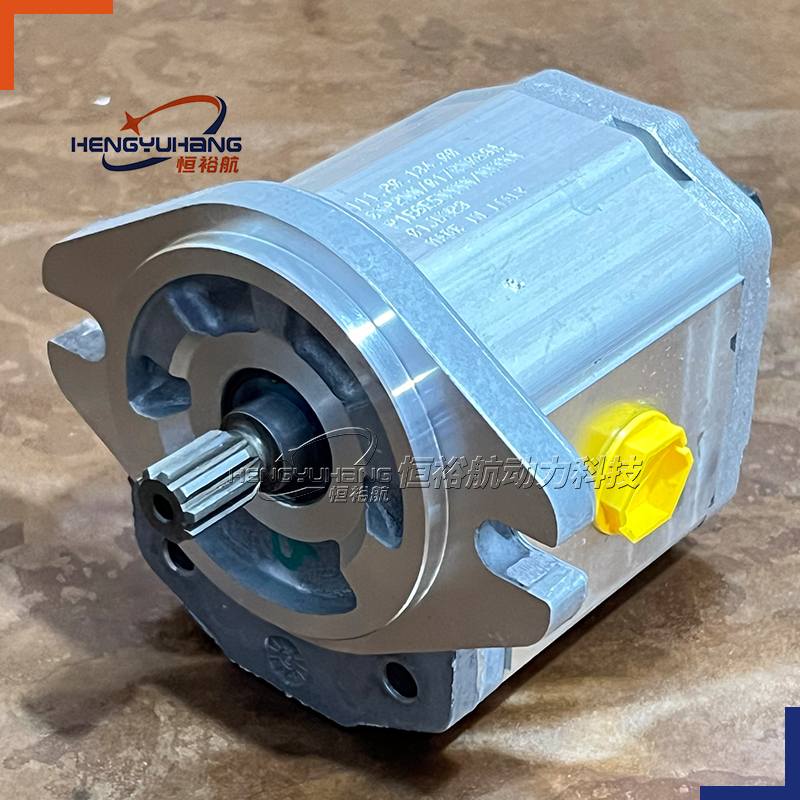FOR DANFOSS Hydraulic Pump 111.20.348.00 SNP2NN/8.0RN06SAP1E6E5 111.20.134.00 SNP2NN/017RN06SAP1E6E5 Hydraulic Gear Pump