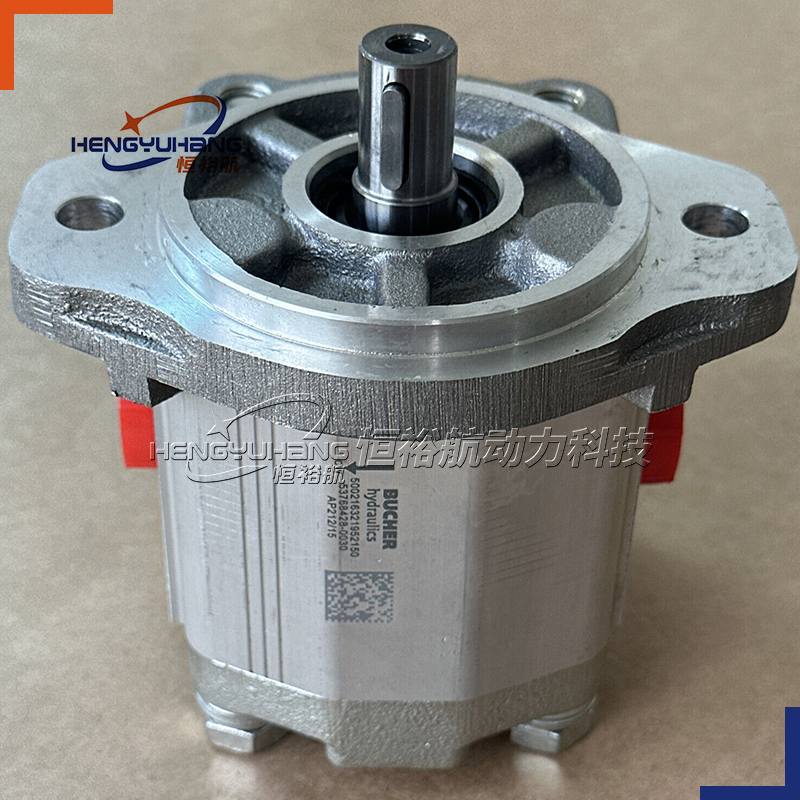 BUCHER Hydraulic Pump AP200 AP212 AP300 AP212/19D880 AP212/4.5D887S AP212/22D887S AP200/19D Industrial Hydraulic Gear Pump