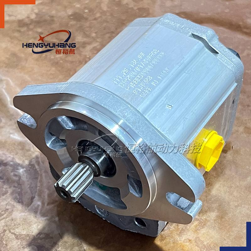 FOR DANFOSS Hydraulic Pump 111.20.348.00 SNP2NN/8.0RN06SAP1E6E5 111.20.134.00 SNP2NN/017RN06SAP1E6E5 Hydraulic Gear Pump